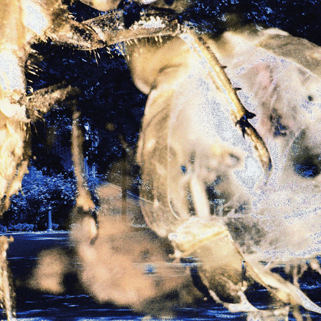 CICADA* cover art