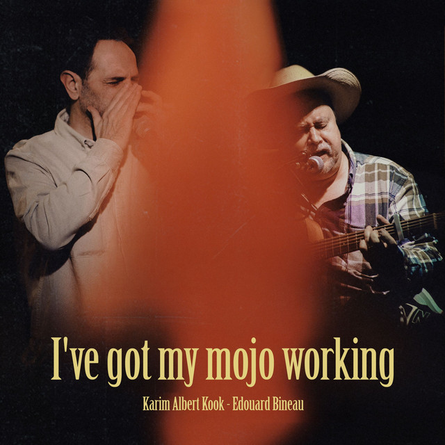 Pochette de I've Got My Mojo Working