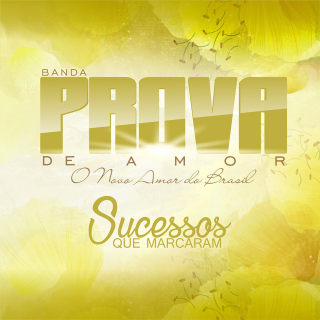 Sucessos Que Marcaram cover art