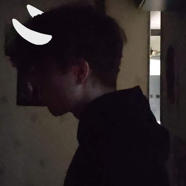 the hollow knight