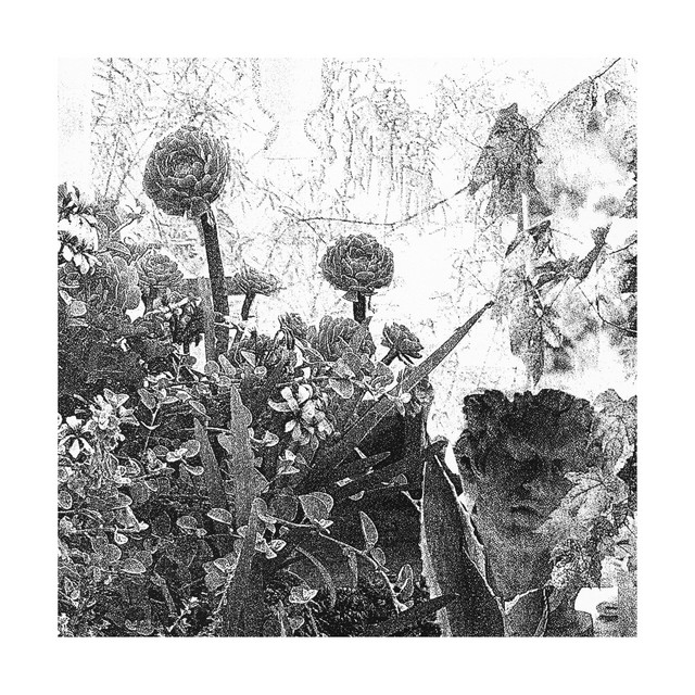 From the Basement cover art
