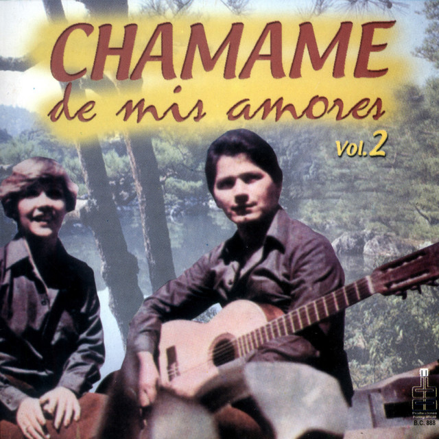 Vol. 2 cover art