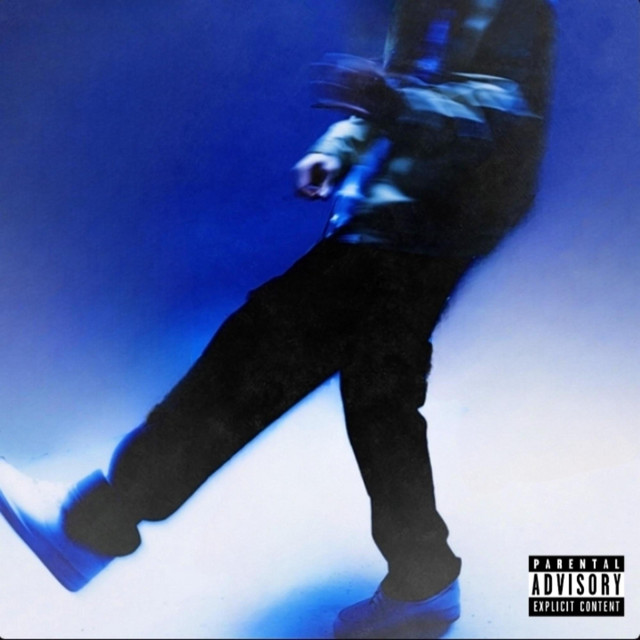 Pari's Mind cover art