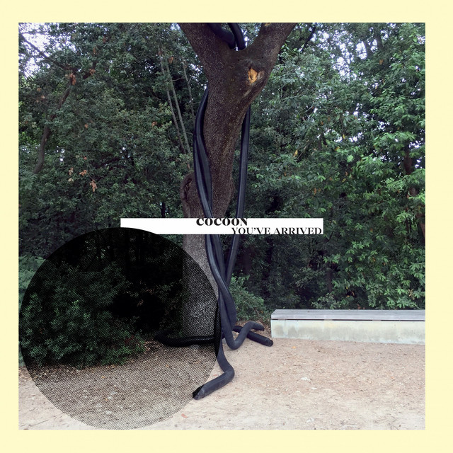 You've Arrived cover art