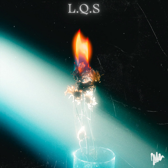 L.Q.S