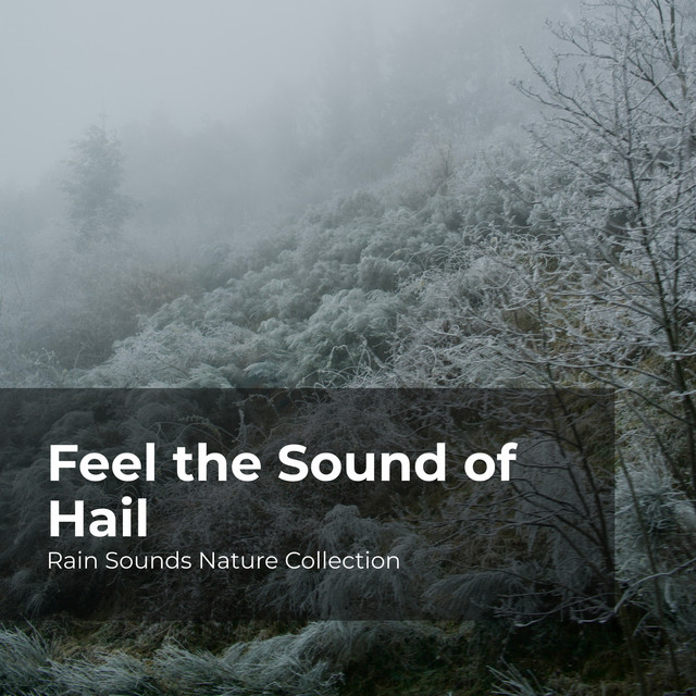 feel-the-sound-of-hail-album-by-asmr-rain-sounds-spotify