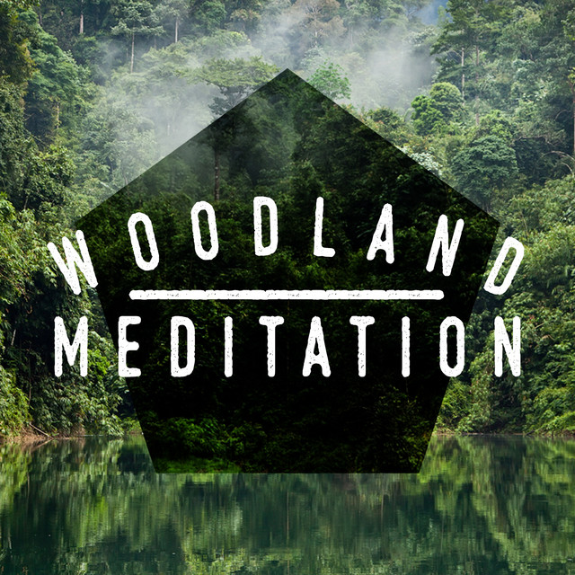 Woodland Meditation cover art