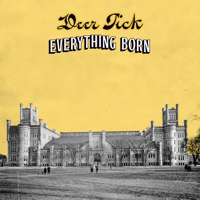 undefined album image