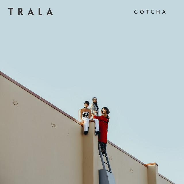 Gotcha cover art