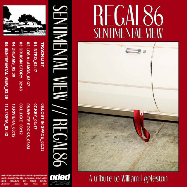 Sentimental View cover art