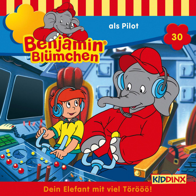 Cover: als Pilot