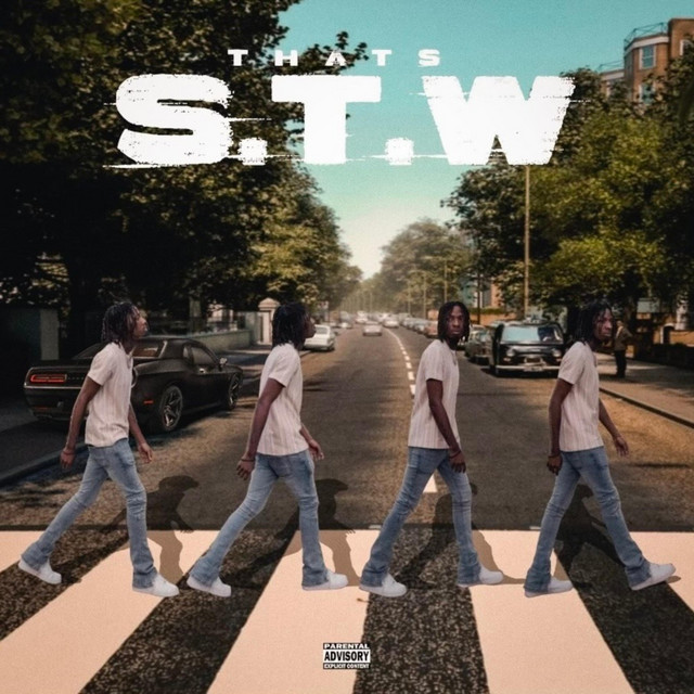 That's S.T.W cover art