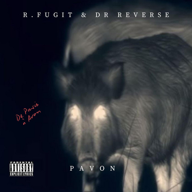 Pavon cover
