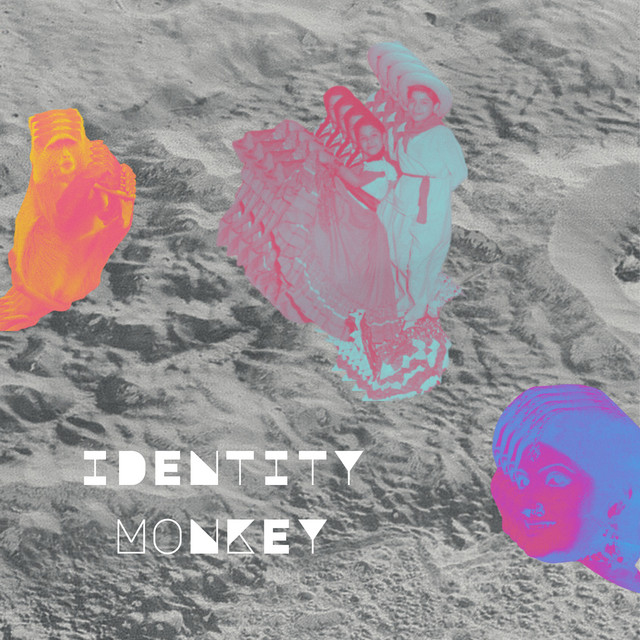Identity Monkey cover art