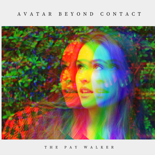 The Pay Walker