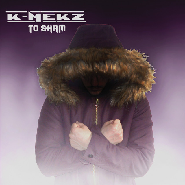 TO SHAM cover art