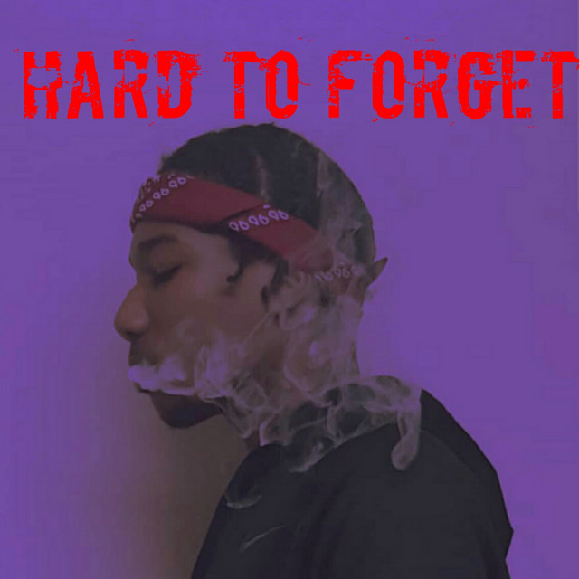 Hard to Forget cover art