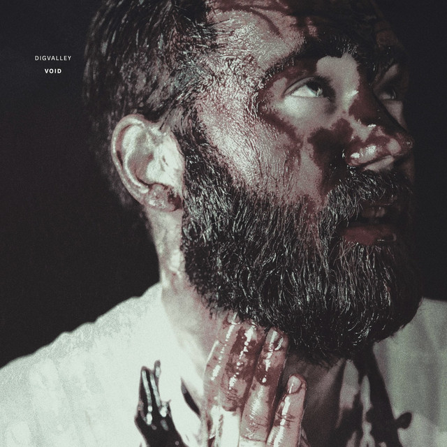 Void cover art