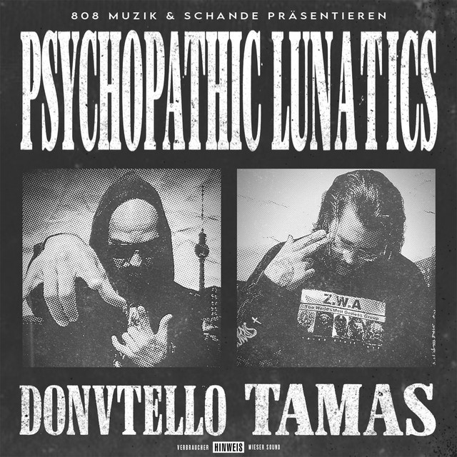 Psychopathic Lunatics cover art