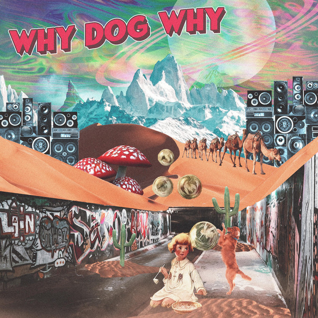 album image