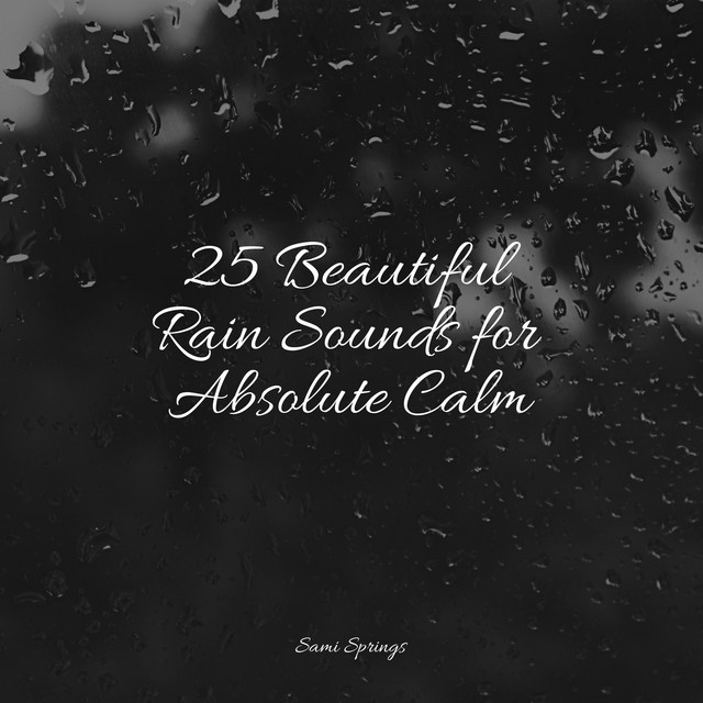 25 Beautiful Rain Sounds for Absolute Calm - Album by Sounds Of Nature ...