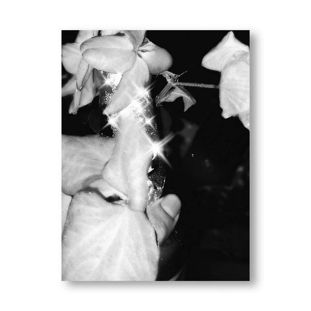Phool (demo) cover art