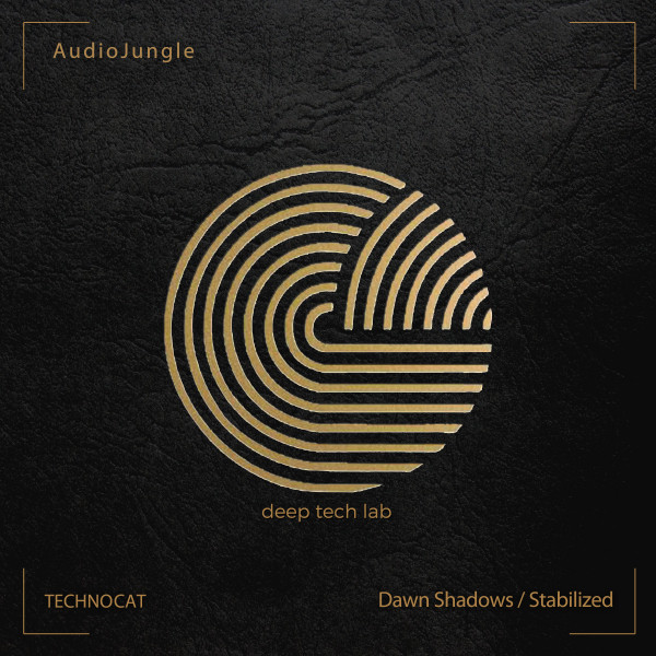 Dawn Shadows / Stabilized cover art
