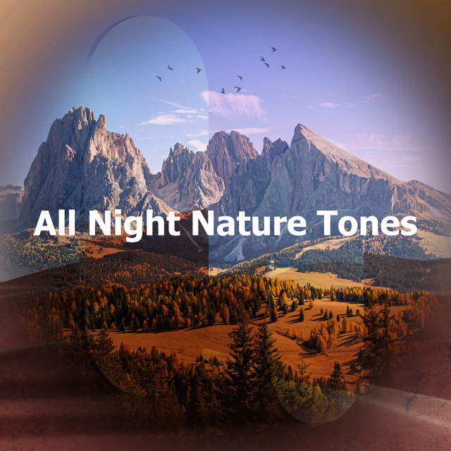 All Night Nature Tones - Album by Natural Deep Sleep | Spotify