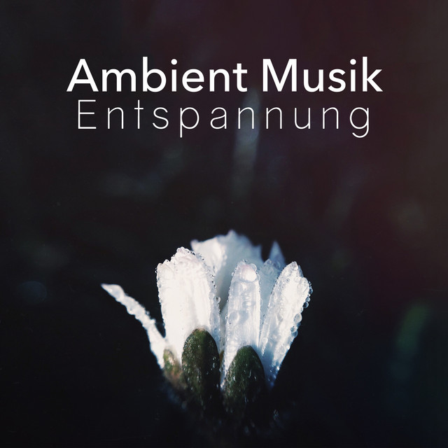 Ambient Musik Entspannung cover art