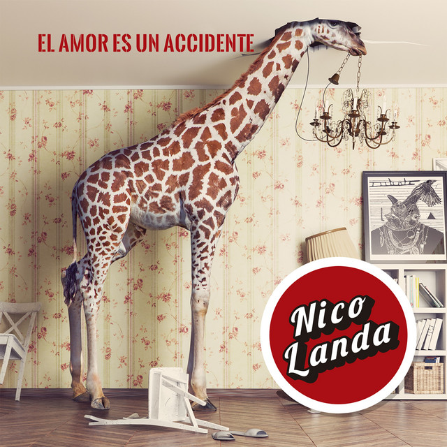El Amor Es un Accidente