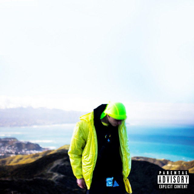 Ride cover