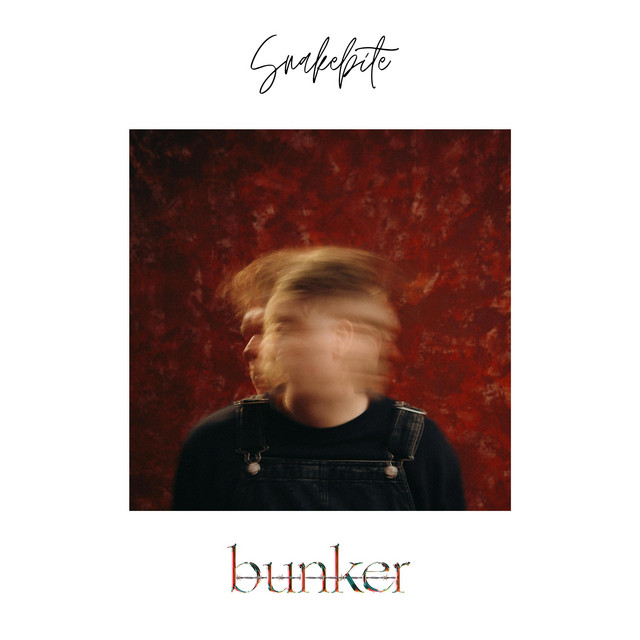 Snakebite cover art