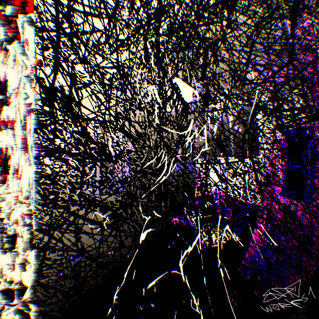 endo works 1 cover art