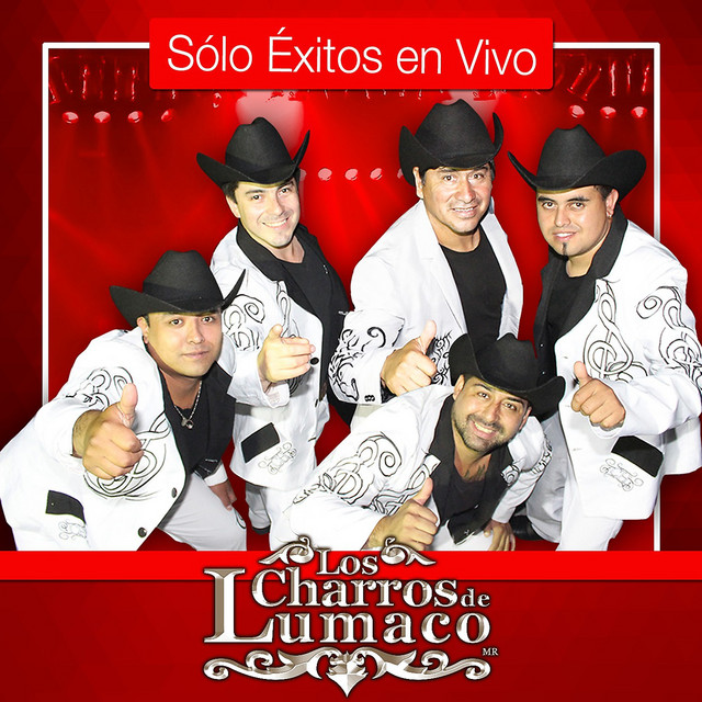 Entre Golpes y Besos / Cicatrices (En Vivo)