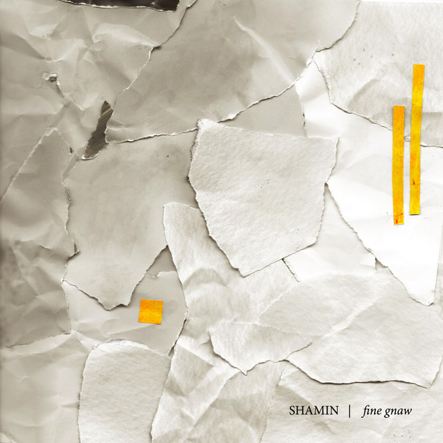 Shamin