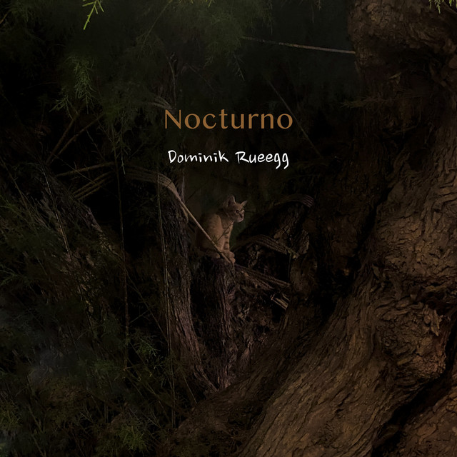 Nocturno