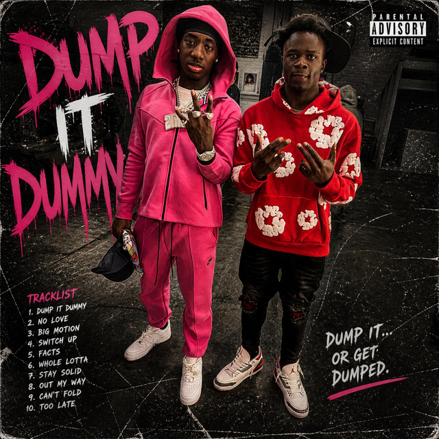 Dump it Dummy cover art