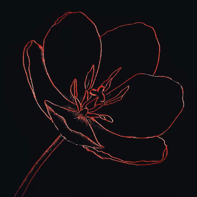 Flor cover art