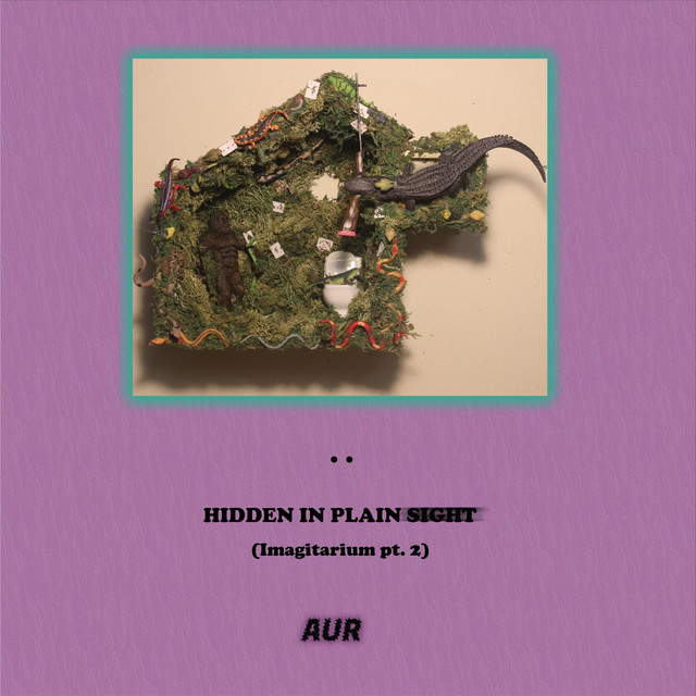 Hidden in Plain Sight cover art