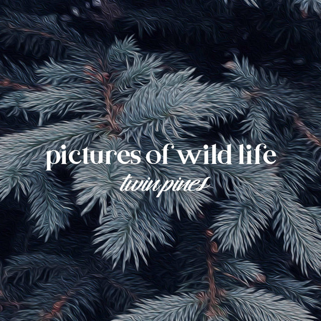 Twin Pines (single)
