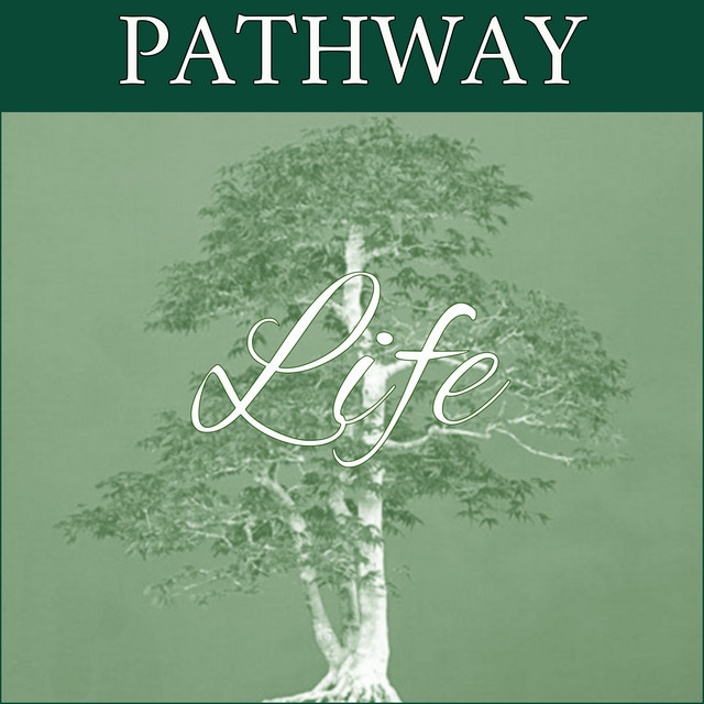 Life cover art