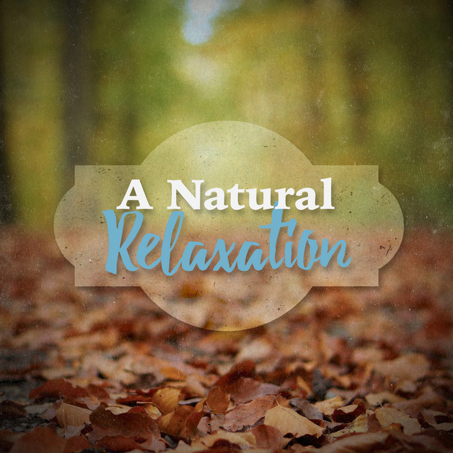 A Natural Relaxation - Album by Sounds of Nature Relaxation | Spotify