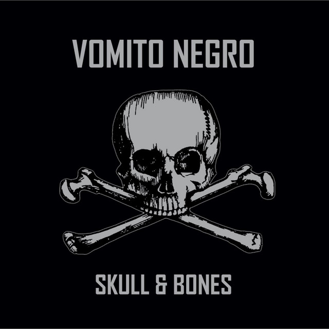 Skull & Bones cover art