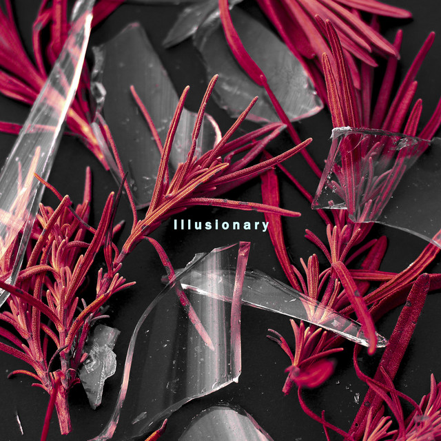 To The Limits cover art