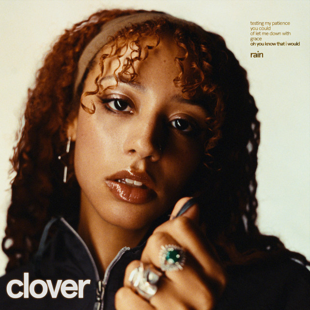 rain cover art