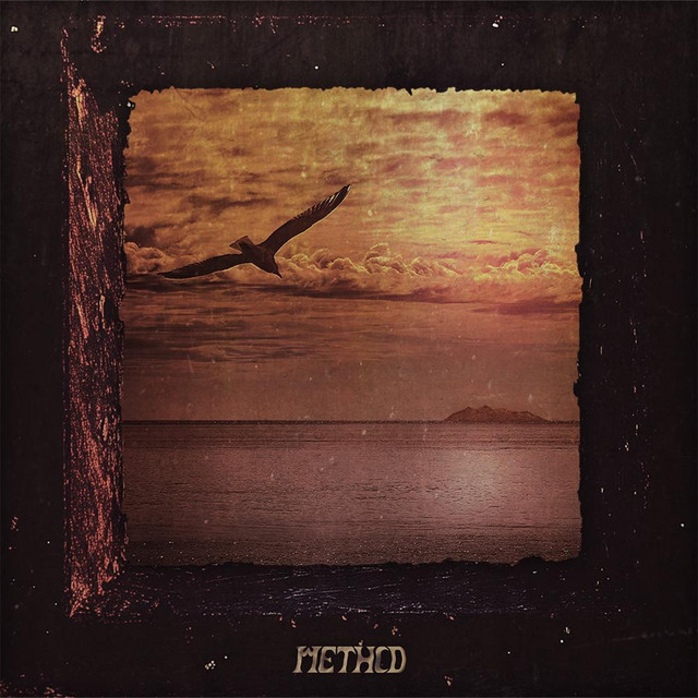 Seagull cover art