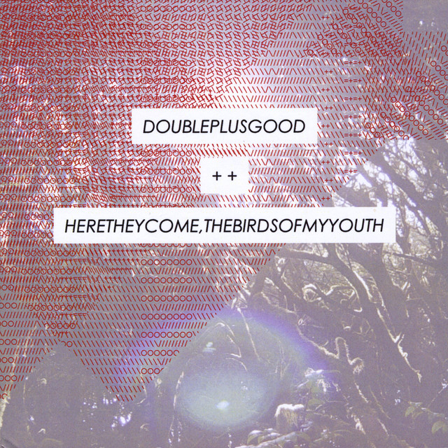 Here They Come, The Birds of My Youth cover art