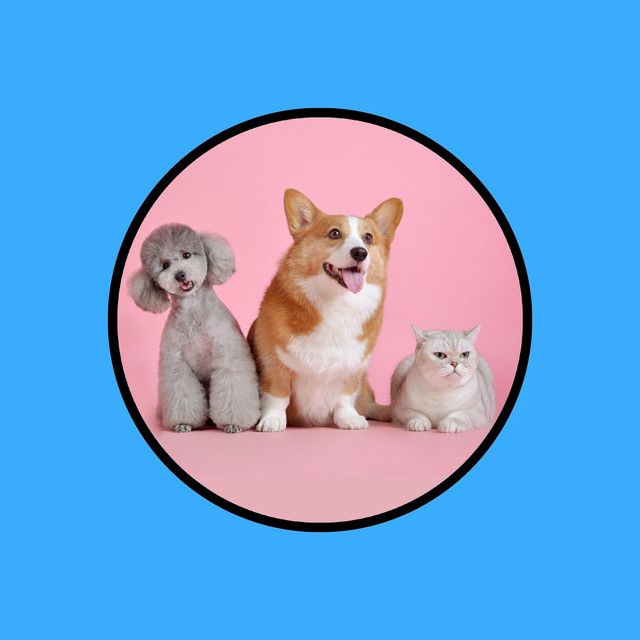 Music for Cats and Dogs cover art