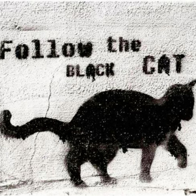 Black Kat cover art