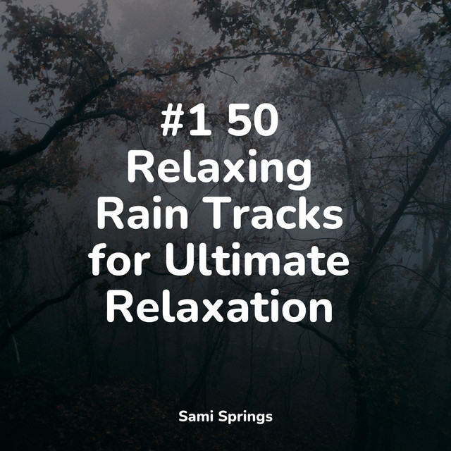 #1 50 Relaxing Rain Tracks for Ultimate Relaxation - Album by ...
